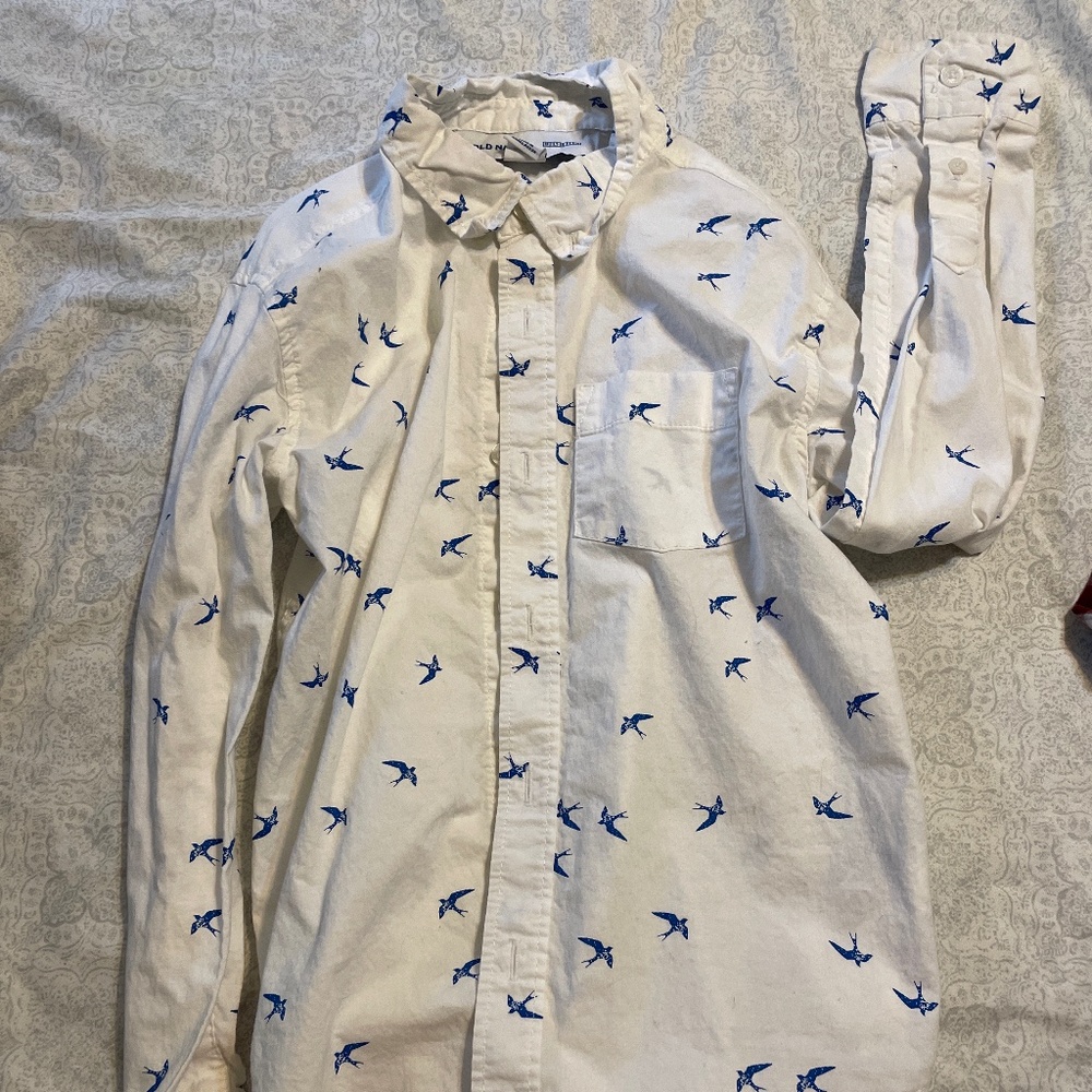 Button down dress shirt